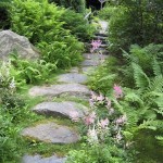 Stone Pathway/SpaceClear Stone Pathway/SpaceClear