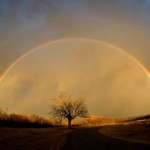 Golden Rainbow Golden Rainbow