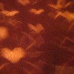 Heart-Spark