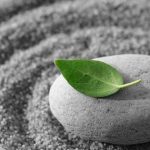 Leaf on Stone