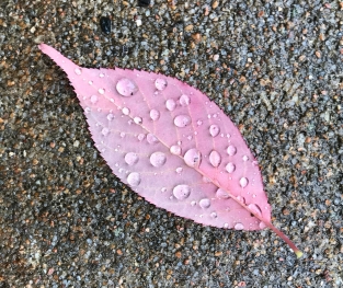 Awe Walking: Step Outside Yourself to Find Yourself